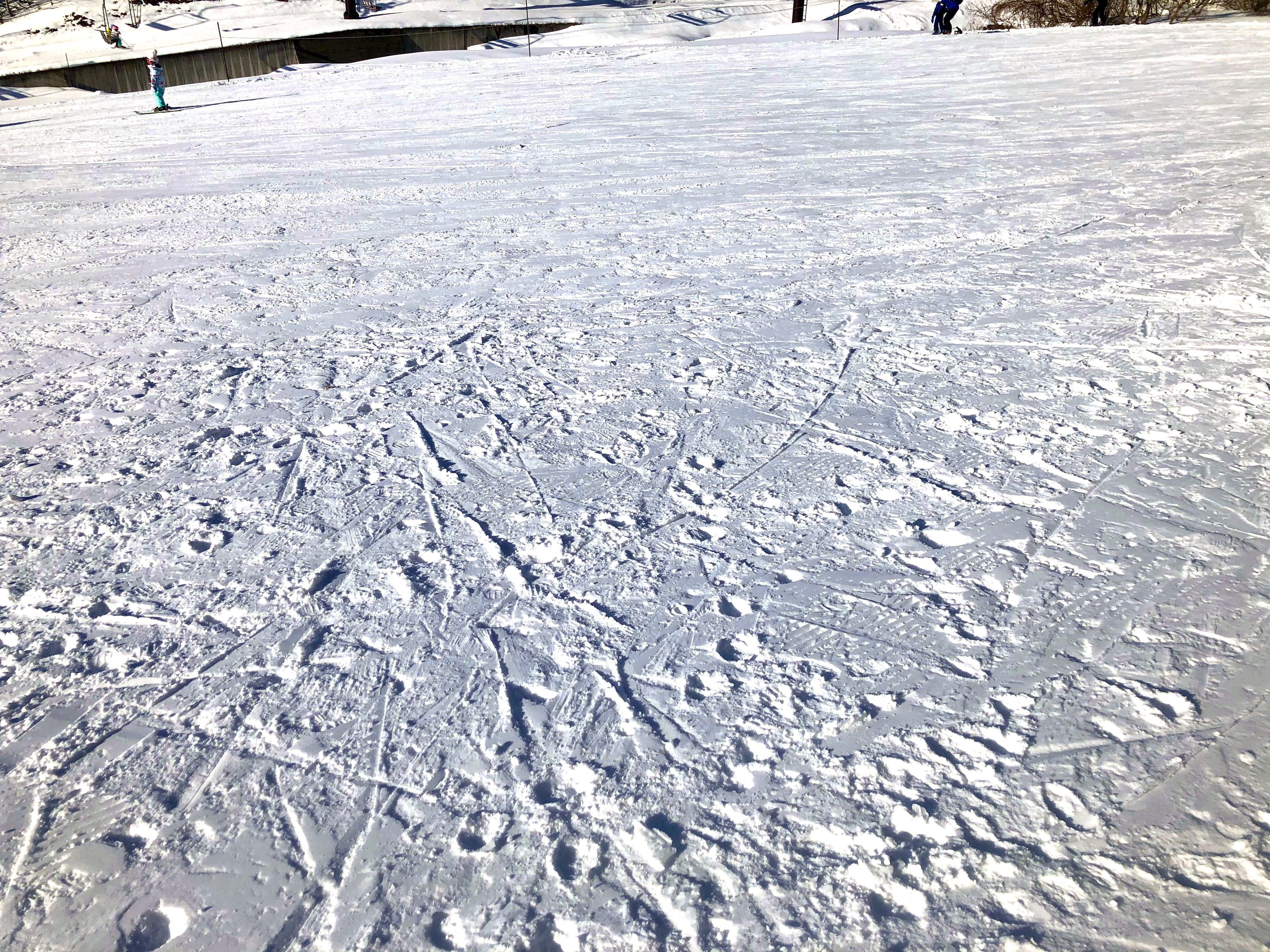 たんばらスキーパーク雪質
